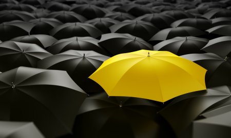 Graphic Design Principles for Beginners